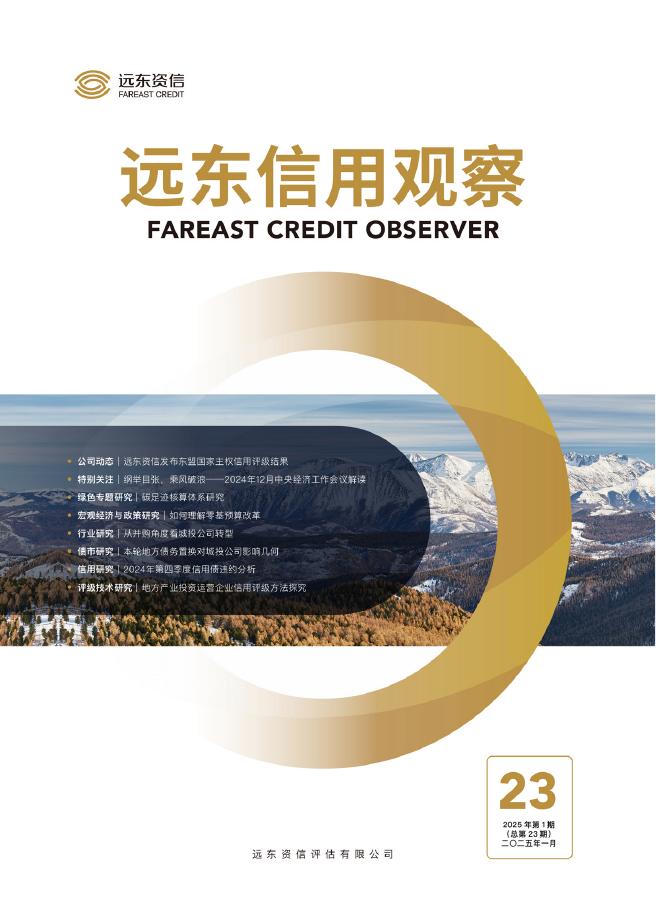 远东资信：《远东信用观察》2025年第1期海报