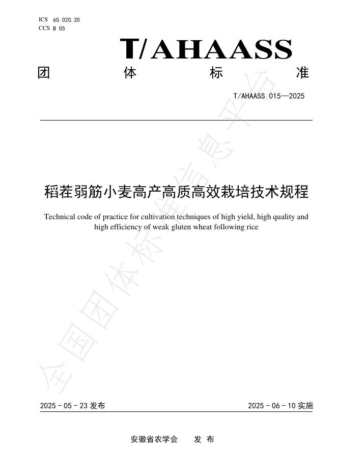 T/AHAASS 015-2025 稻茬弱筋小麦高产高质高效栽培技术规程