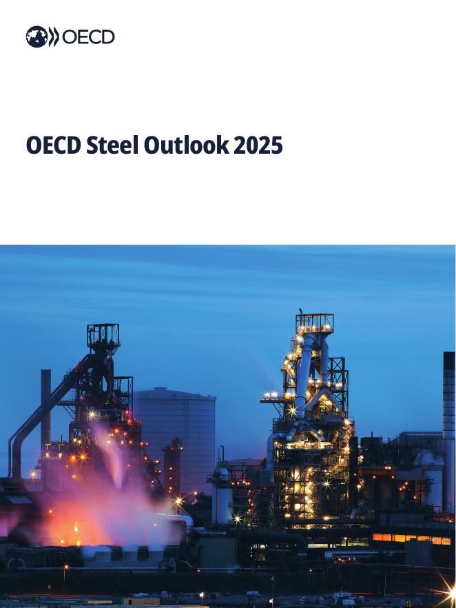 OECD经合组织：2025年度全球钢铁市场展望报告（英文版）