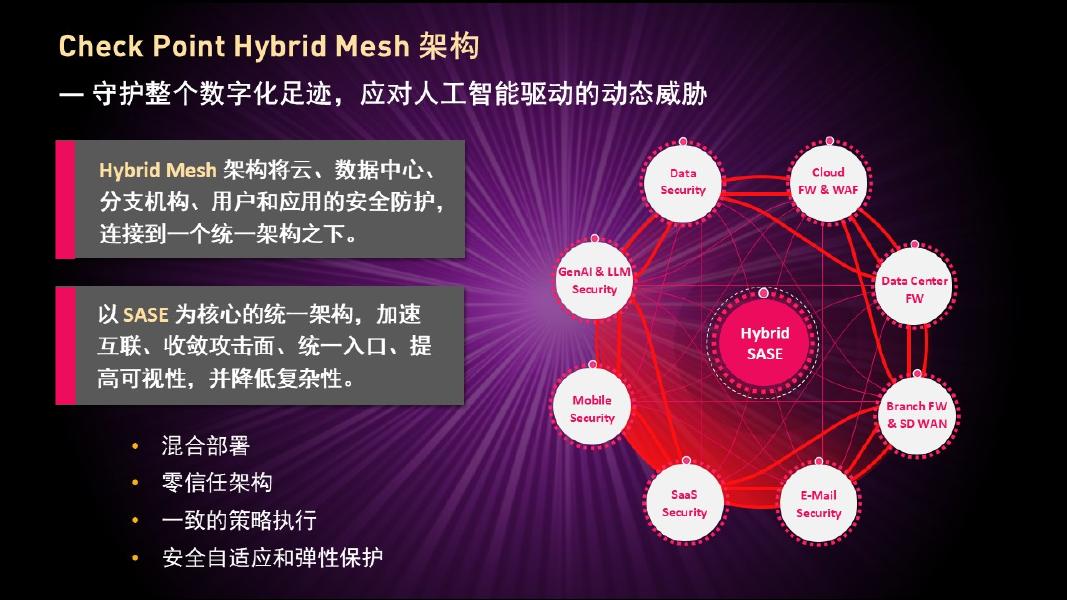 Check Point：2025年人工智能时代保障超级互联世界安全：如何以2倍速度与零信任架构引领未来_第10页