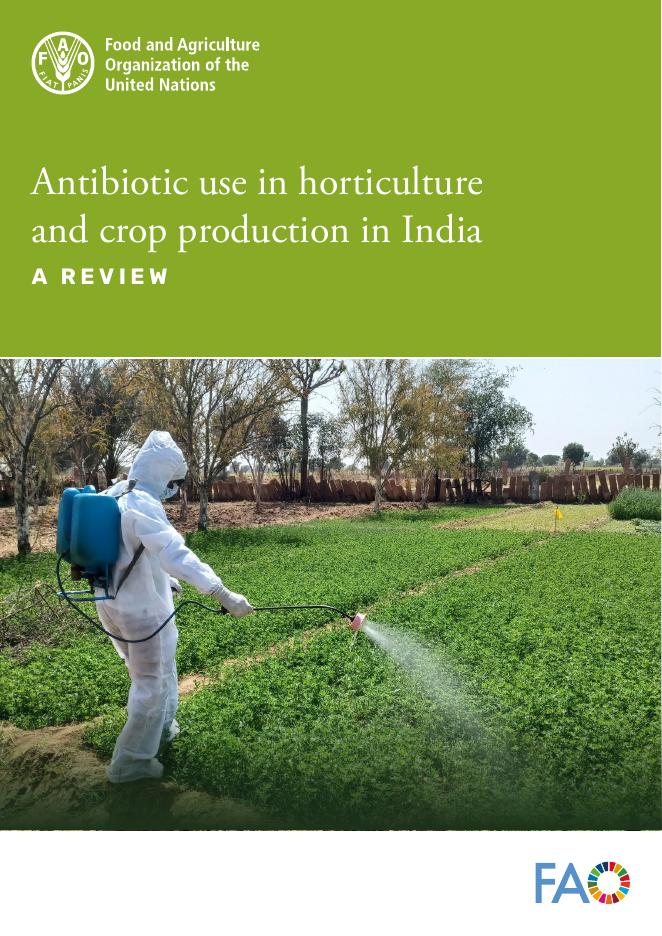 FAO联合国粮农组织：2025年印度园艺和作物生产中的抗生素使用评论报告（英文版）