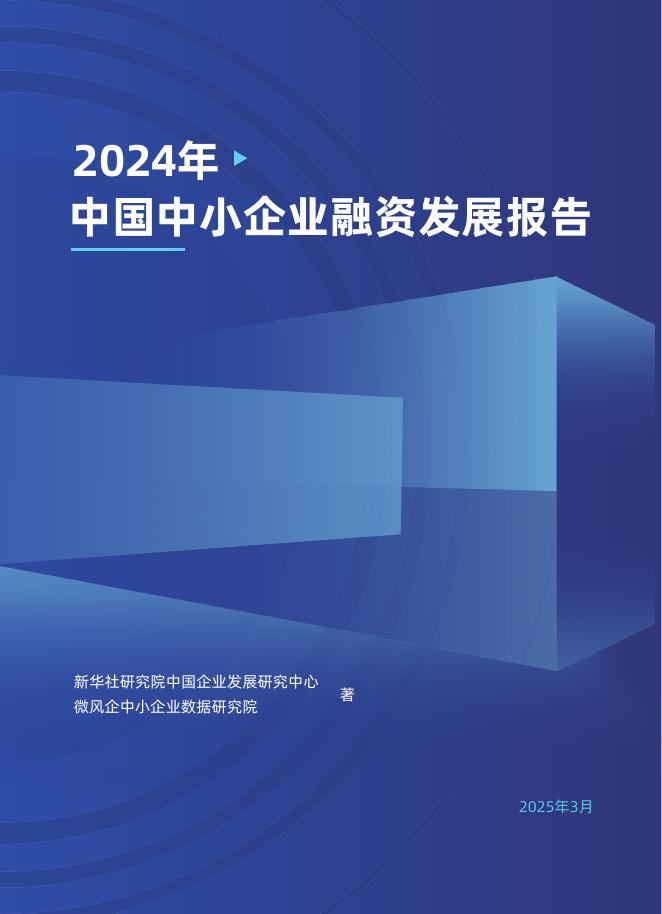 微风企：2024年中国中小企业融资发展报告海报