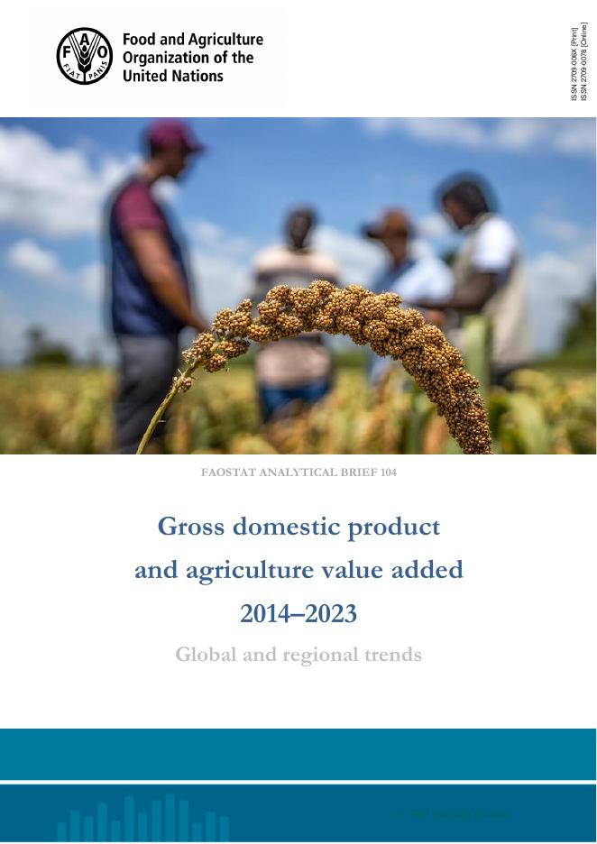 FAO联合国粮农组织：2014-2023年国内生产总值和农业增值全球和区域趋势报告（英文版）海报