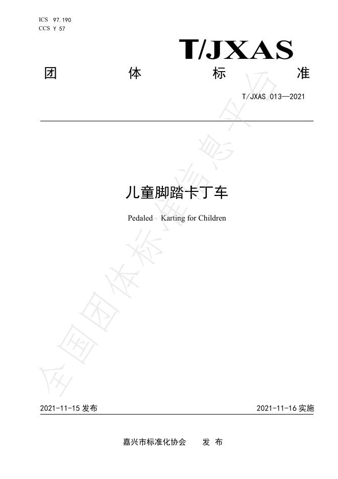 T/JXAS 013-2021 儿童脚踏卡丁车