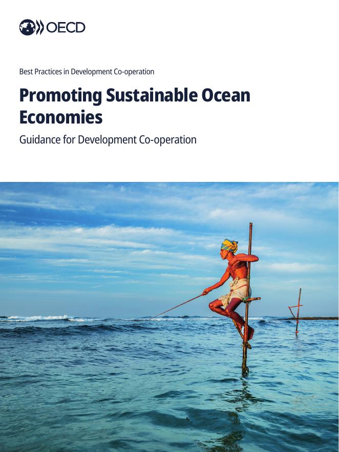 OECD经合组织：2025年可持续海洋经济发展合作最佳实践指南报告（英文版）