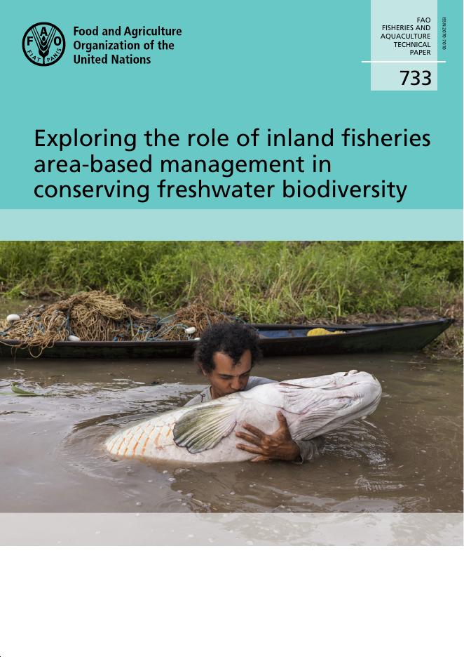 FAO联合国粮农组织：2025年探讨内陆渔业区管理在保护淡水生物多样性中的作用报告（英文版）