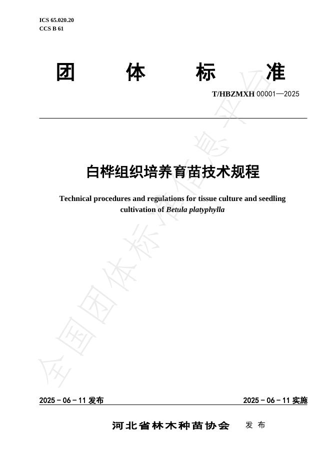 T/HBZMXH 00001-2025 白桦组织培养育苗技术规程