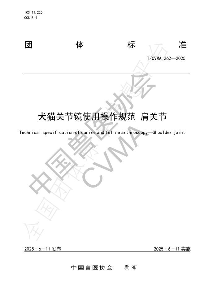 T/CVMA 262-2025 犬猫关节镜使用操作规范 肩关节
