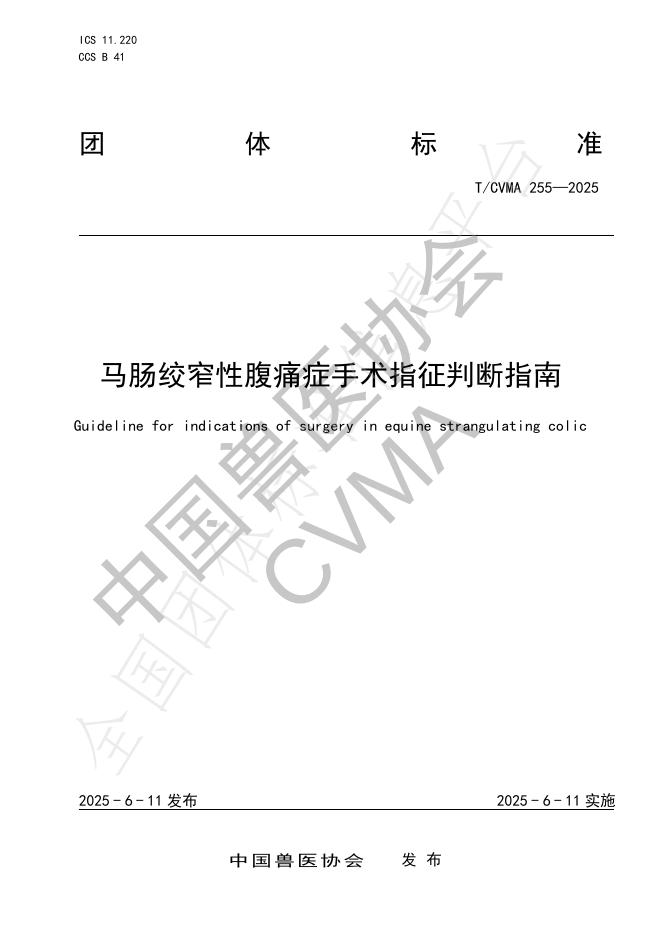T/CVMA 255-2025 马肠绞窄性腹痛症手术指征判断指南