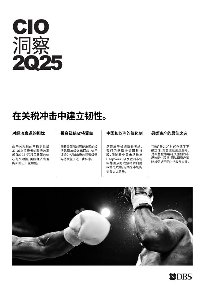 DBS Bank星展银行：2025年第二季度CIO洞察报告海报