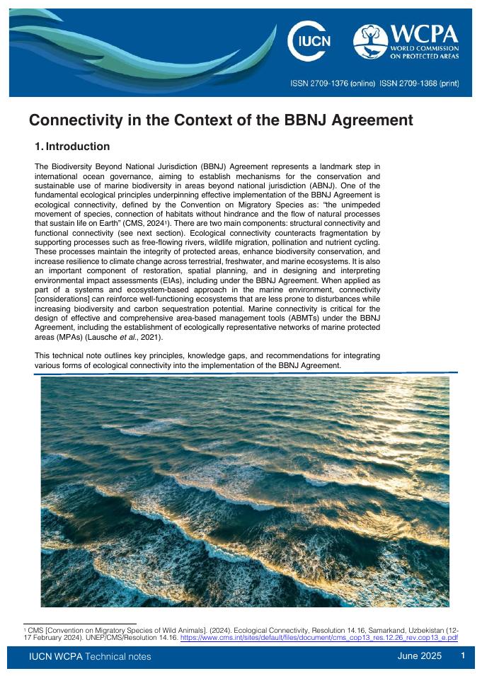 世界自然保护联盟IUCN：2025年BBNJ协议中的连通性简报（英文版）海报