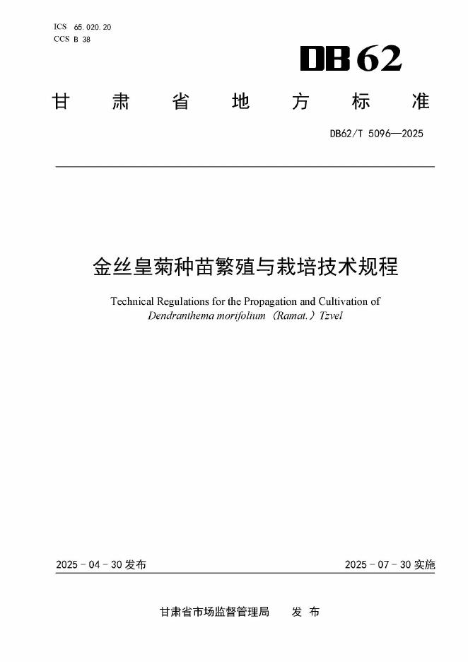 DB62/T 5096-2025 金丝皇菊种苗繁殖与栽培技术规程