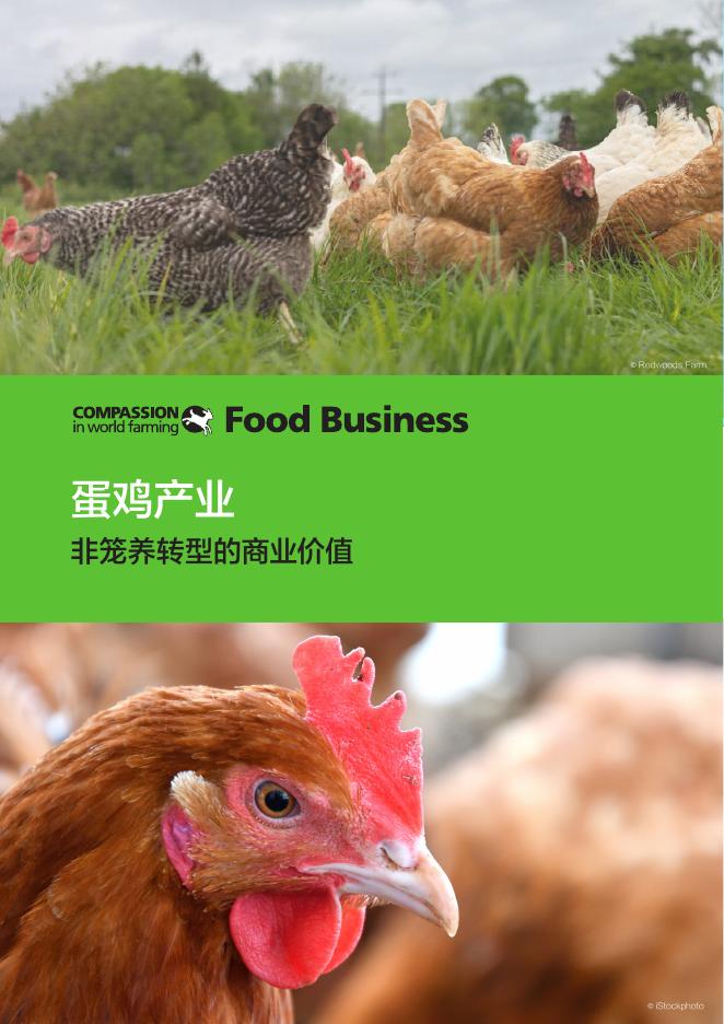 EggTrack：2024年蛋鸡产业非笼养转型的商业价值报告海报