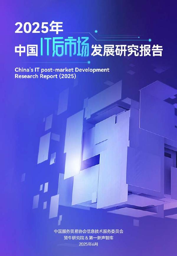 第一新声：2025年中国IT后市场发展研究报告海报