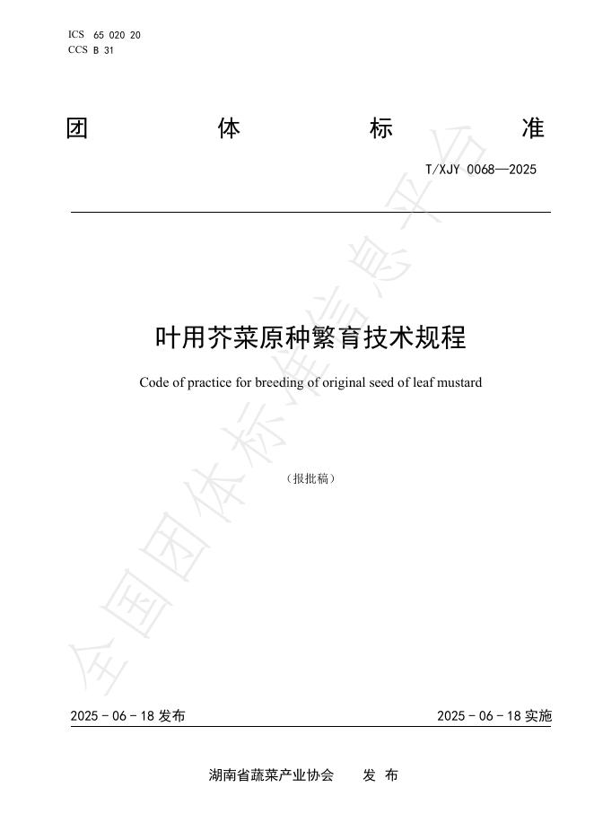 T/XJY 0068-2025 叶用芥菜原种繁育技术规程