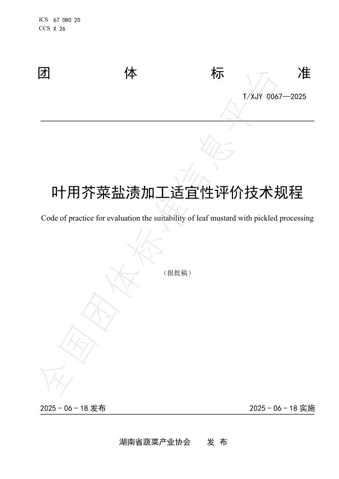 T/XJY 0067-2025 叶用芥菜盐渍加工适宜性评价技术规程