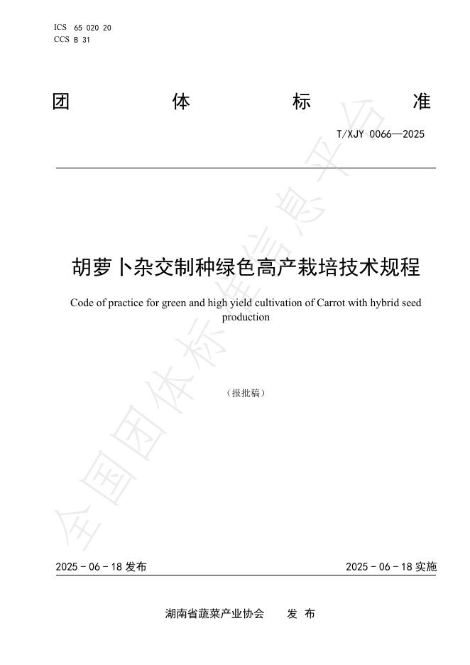 T/XJY 0066-2025 胡萝卜杂交制种绿色高产栽培技术规程