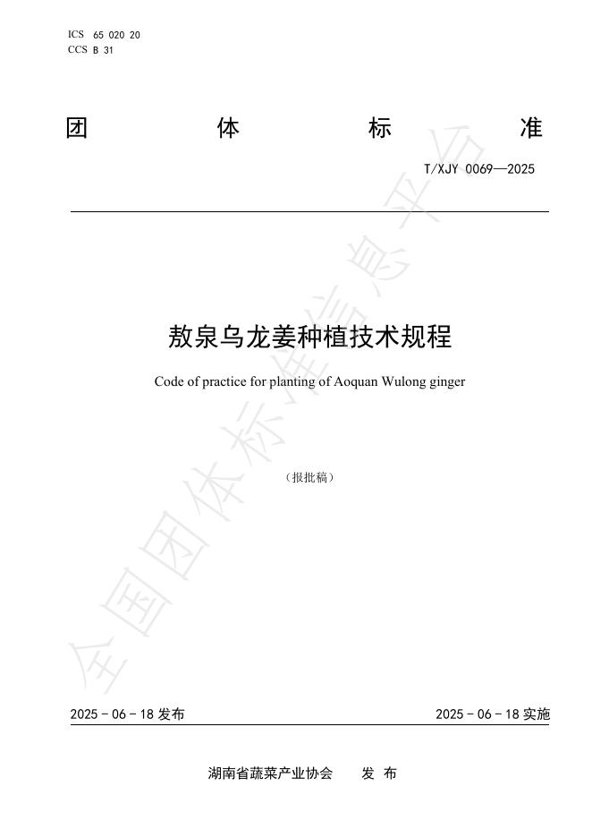 T/XJY 0069-2025 敖泉乌龙姜种植技术规程