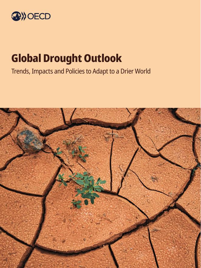 OECD经合组织：2025年世界企业家视角：进化、影响和适应政策报告（英文版）海报