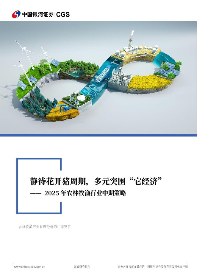 中国银河：2025年农林牧渔行业中期策略：静待花开猪周期，多元突围“它经济”海报