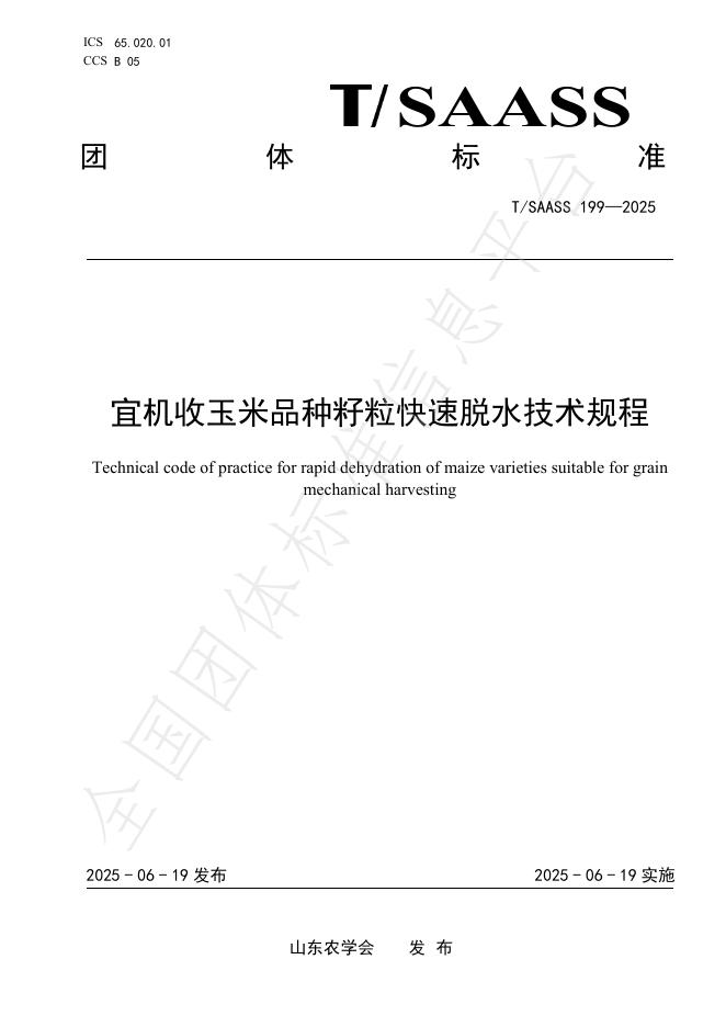 T/SAASS 199-2025 宜机收玉米品种籽粒快速脱水技术规程