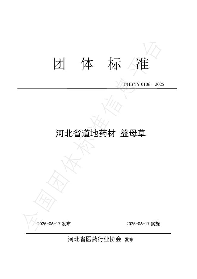 T/HBYY 0106-2025 河北省道地药材 益母草