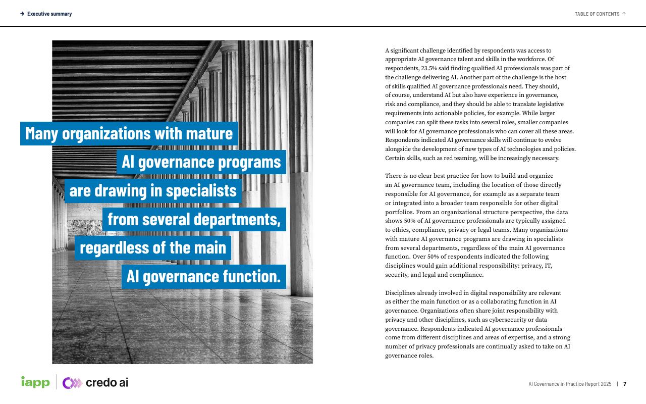 IAPP&Credo AI：2025年人工智能治理专业报告（英文版）_第7页