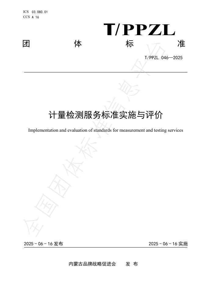 T/PPZL 046-2025 计量检测服务标准实施与评价