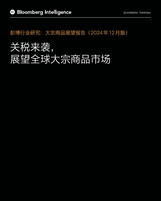 彭博：大宗商品展望报告（20224年12月版）-关税来袭展望全球大宗商品市场海报