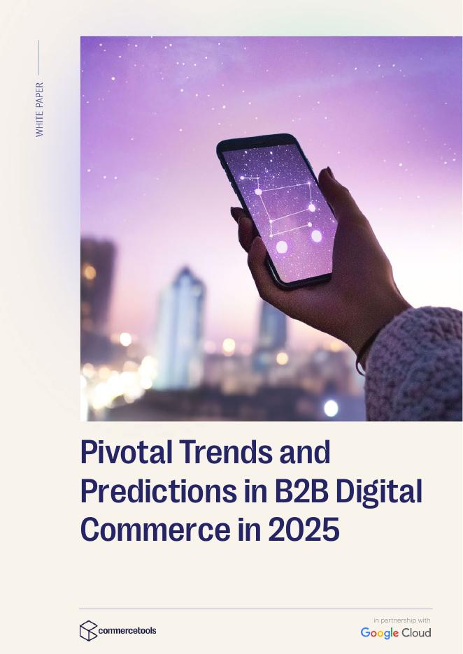 Commercetools&谷歌云：2025年B2B数字商务关键趋势与预测报告（英文版）