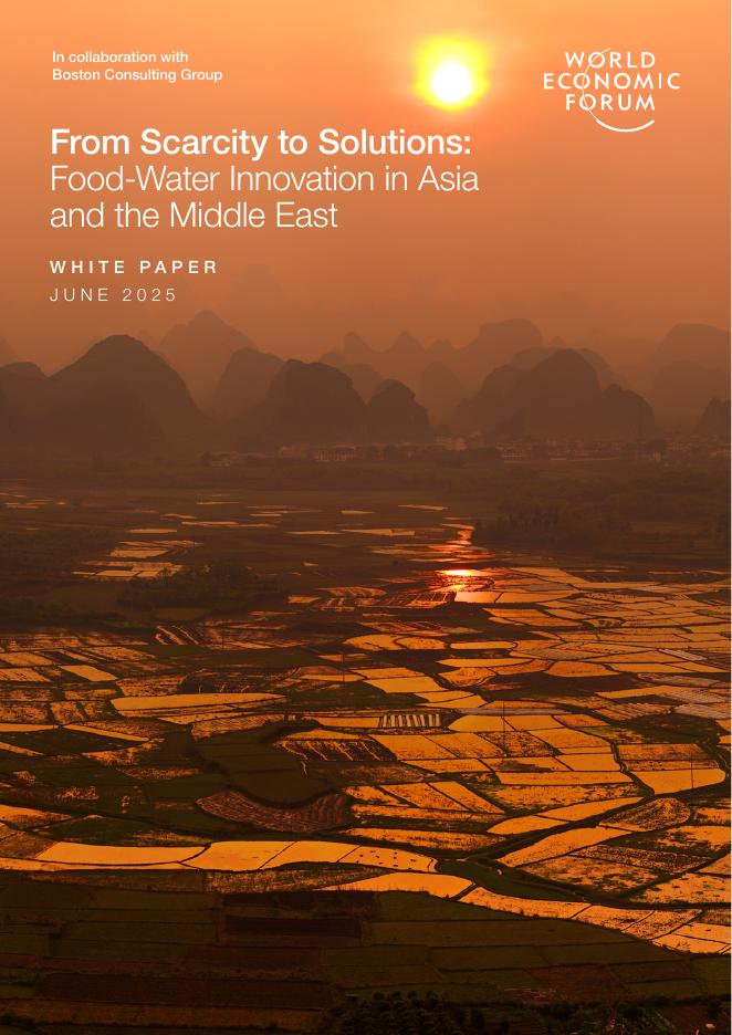 WEF&BCG：2025年资源短缺破局之道：亚洲及中东地区的食物-水资源创新白皮书（英文版）海报