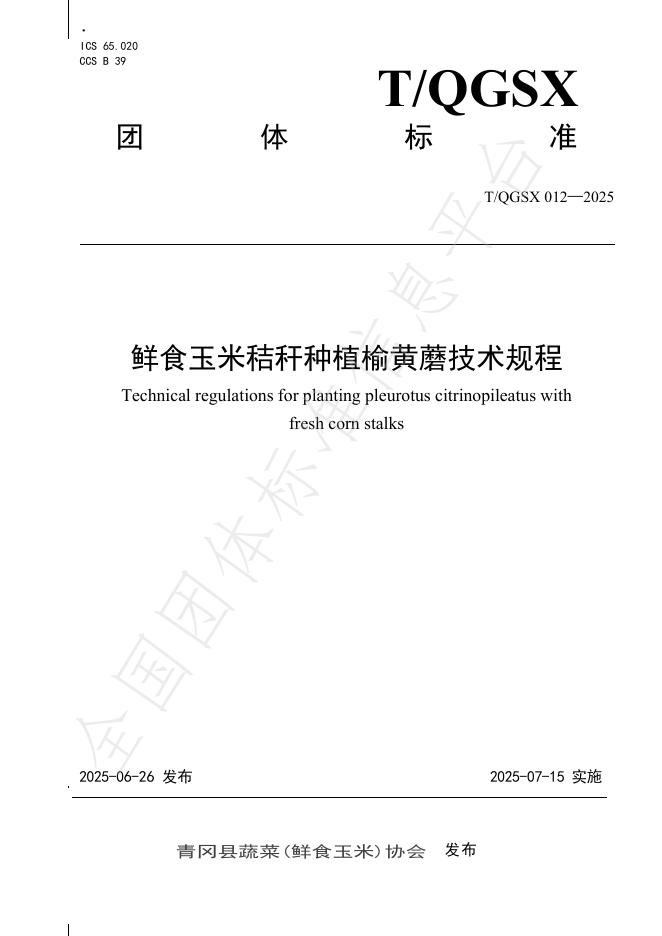 T/QGSX 012-2025 鲜食玉米秸秆种植榆黄蘑技术规程