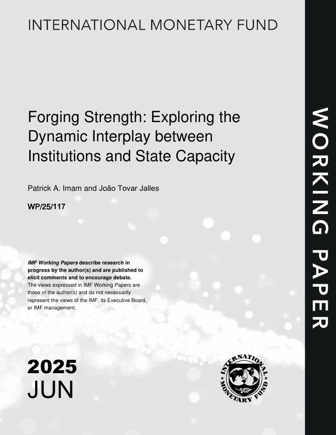 国际货币基金组织：锻造力量：探索制度与国家能力之间的动态互动（英文版）