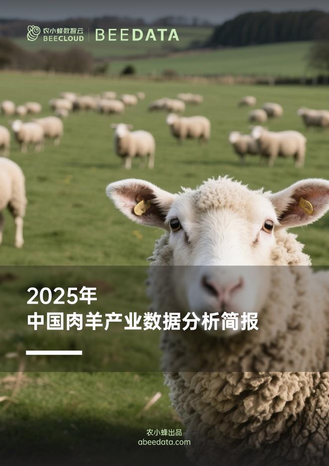 农小蜂：2025年中国肉羊产业数据分析简报海报