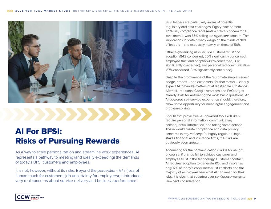 CCW Digital：2025年人工智能时代对银行业、金融业及保险业客户体验的再思考研究报告（英文版）_第9页