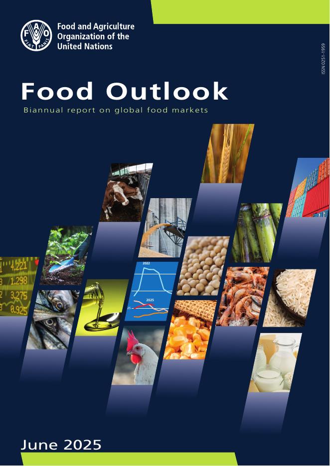 FAO联合国粮农组织：2025年全球粮食市场展望报告（英文版）海报