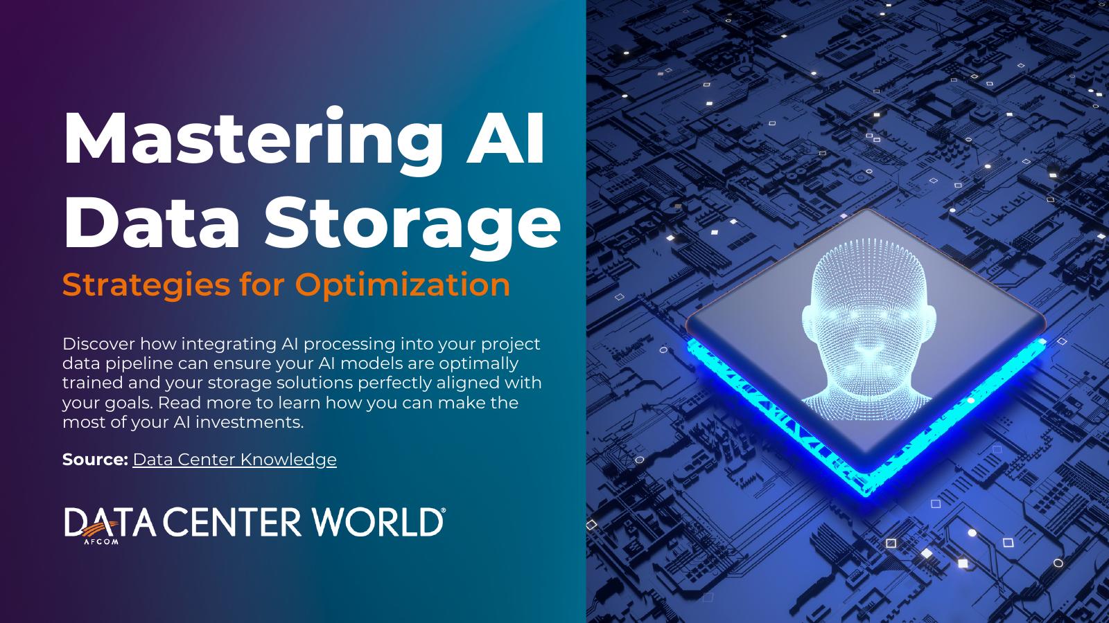 Data Center World：2025年驾驭AI数据存储：优化策略分析报告（英文版）