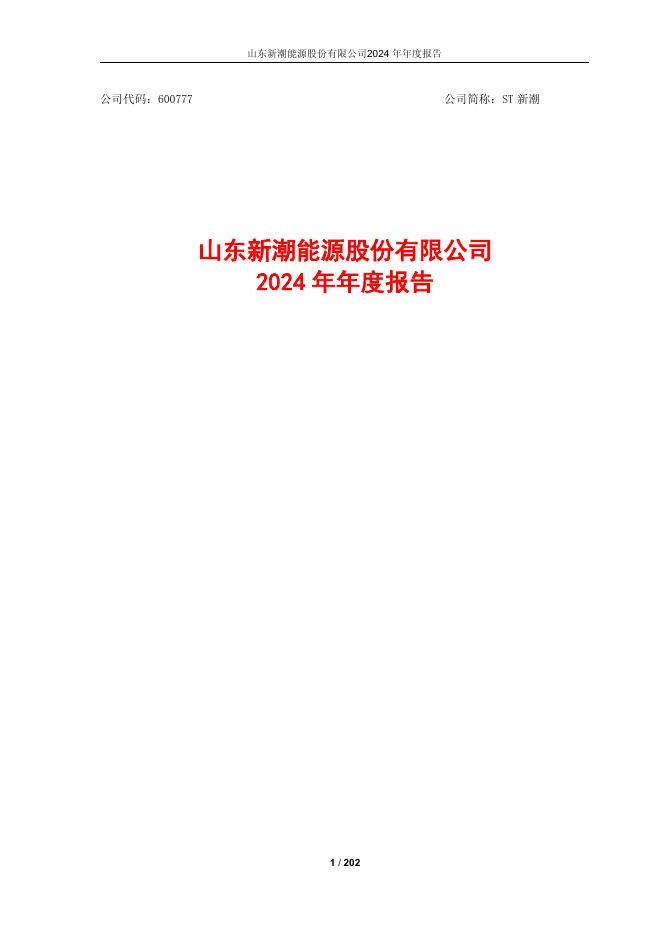 600777-ST新潮：2024年年度报告
