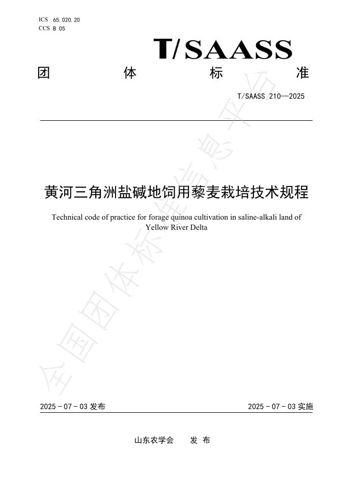 T/SAASS 210-2025 黄河三角洲盐碱地饲用藜麦栽培技术规程