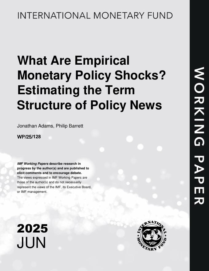 国际货币基金组织：什么是实证货币政策冲击？政策新闻的术语结构估计（英文版）