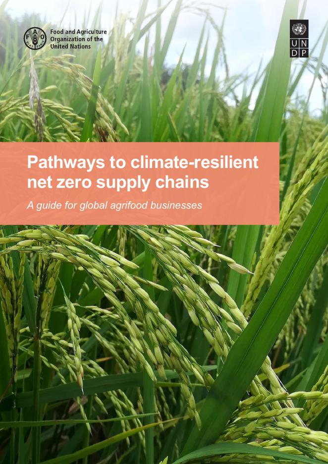 FAO联合国粮农组织：2025年通往气候适应性净零供应链的路径-全球农业食品企业指南报告（英文版）