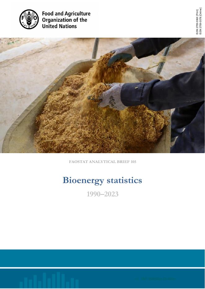 FAO联合国粮农组织：1990-2023年生物能源统计数据报告（英文版）