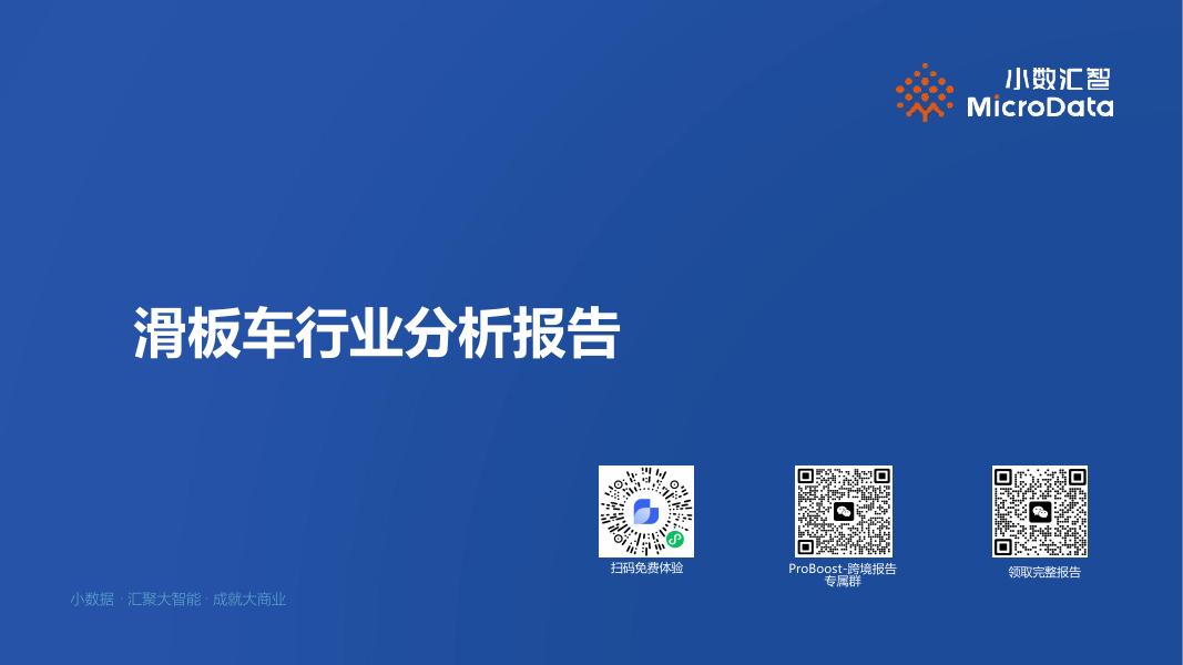 小数汇智：2025年滑板车行业分析报告海报