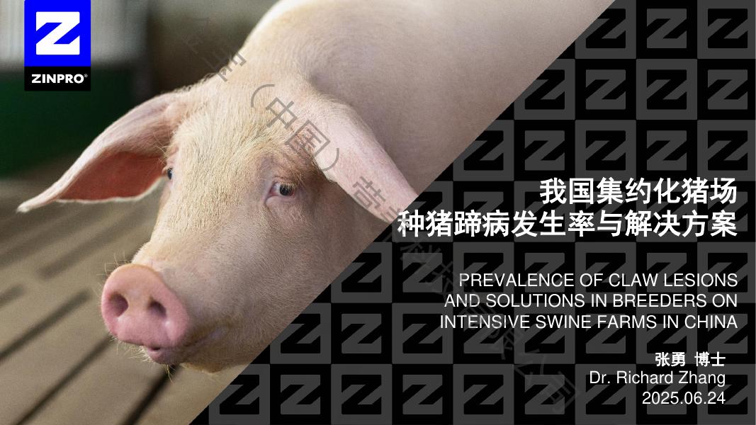 ZINPRO：2025年我国集约化猪场种猪蹄病发生率与解决方案报告（中英版）海报