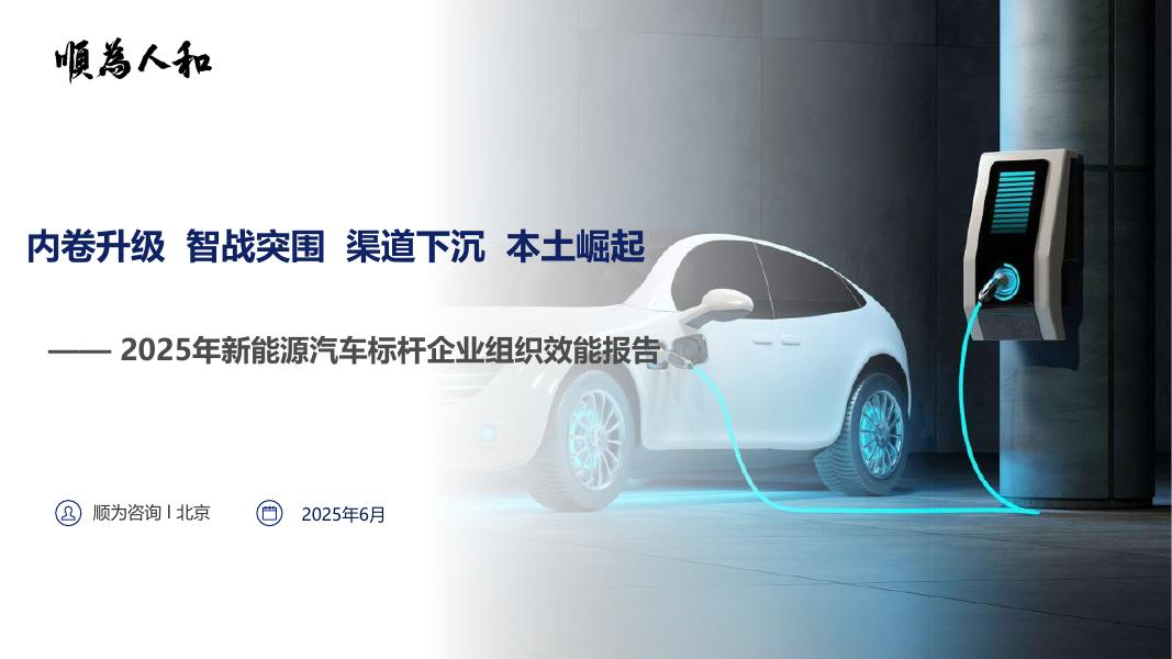 顺为咨询：2025年新能源汽车行业标杆企业效能报告海报