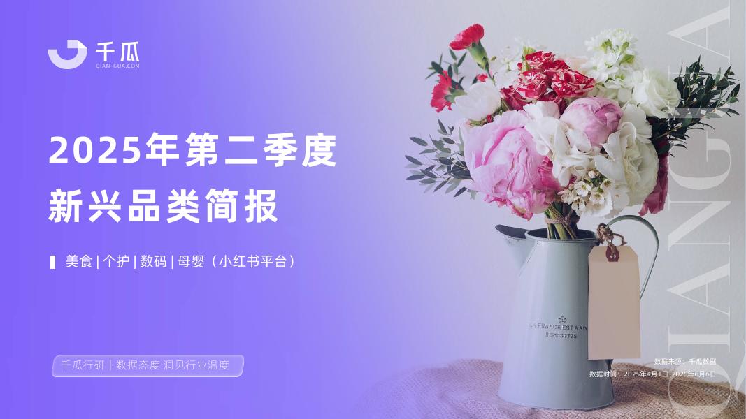 千瓜数据：2025年第二季度「新兴品类」简报（小红书平台）海报