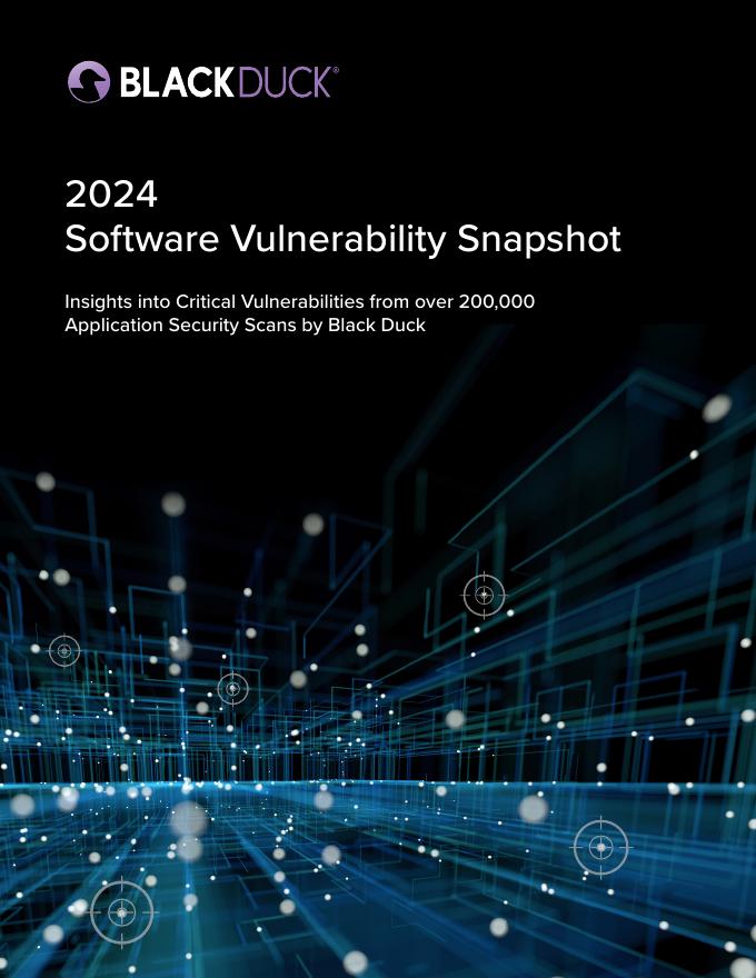 Cyentia：2024年软件漏洞快照报告（英文版）海报