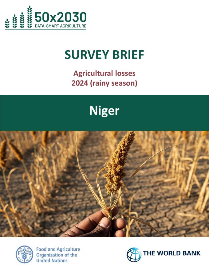 FAO联合国粮农组织：2024年尼日尔农业损失（雨季）调查简报（英文版）海报