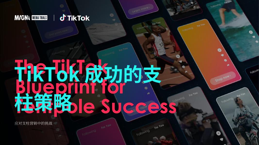 TikTok：2025年成功的支柱策略报告海报