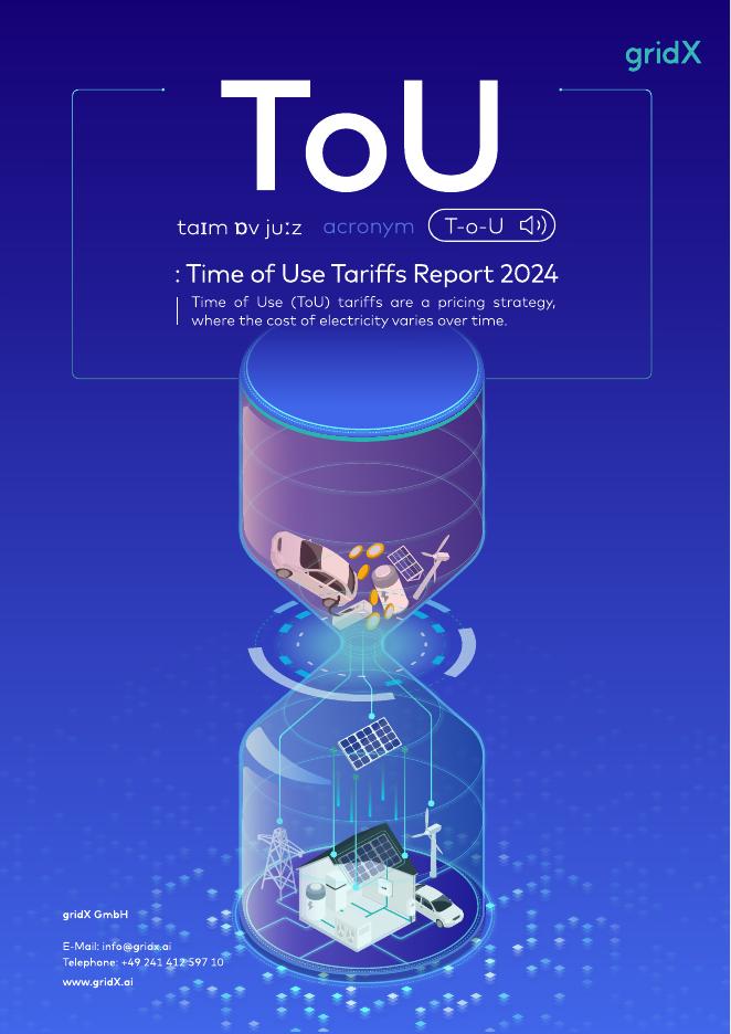 gridX：2024年峰谷电价报告（英文版）海报
